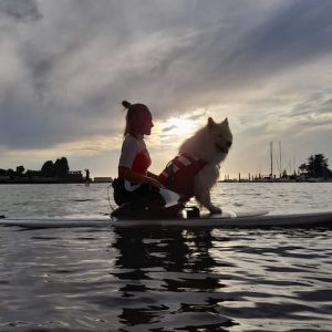 paddle dog