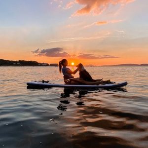 paddle dog clase