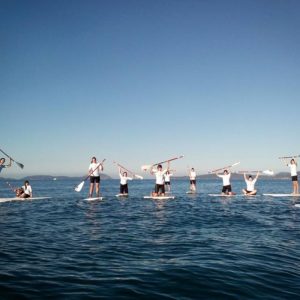 club paddle surf